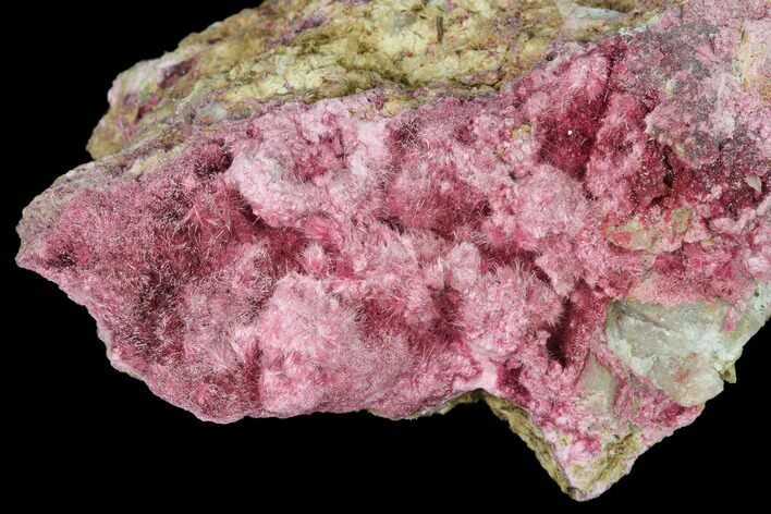 Magenta Erythrite Crystal Cluster - Morocco #141649